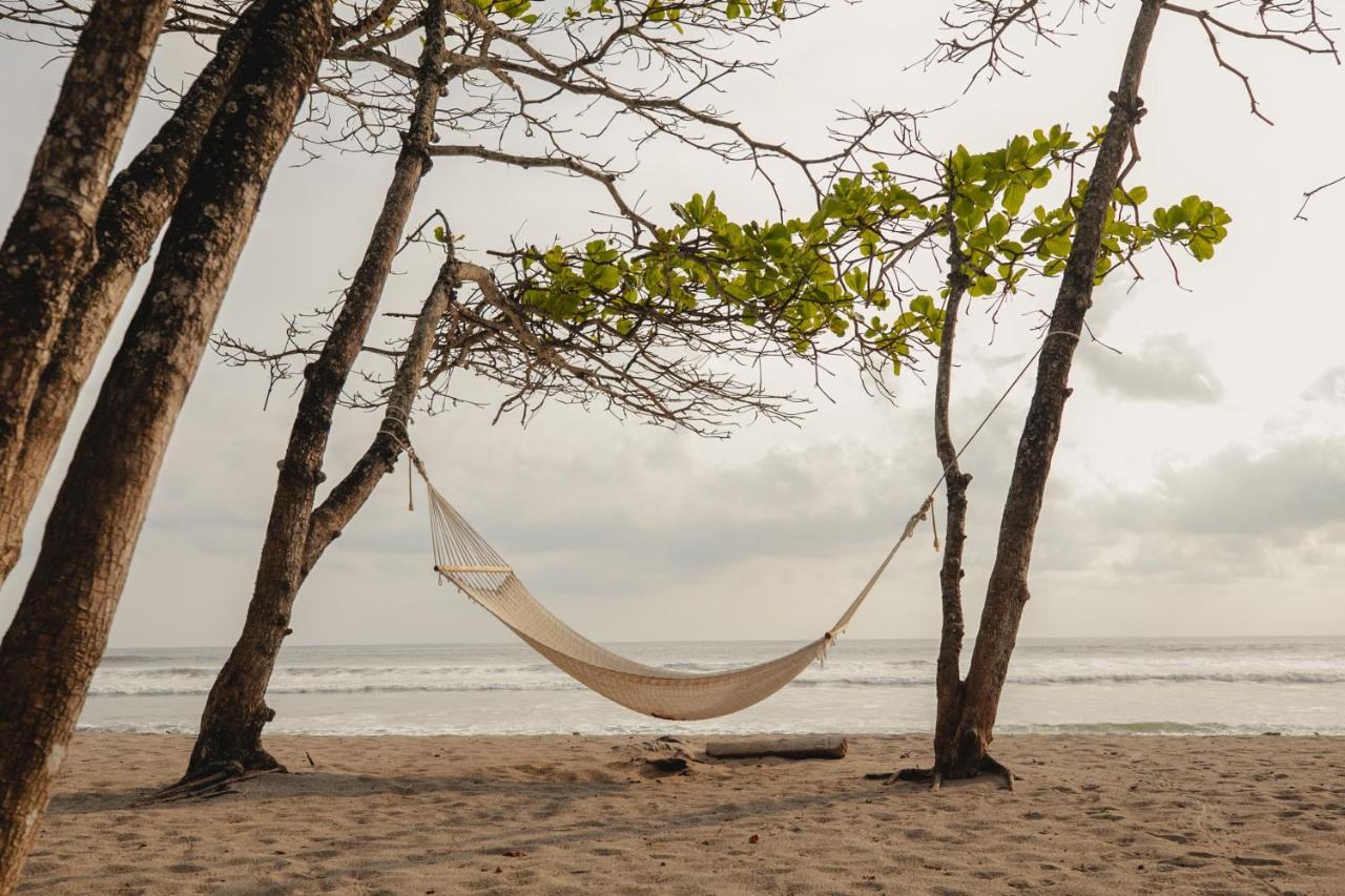 Blue Mist Hotel- Adults Only Playa Santa Teresa  エクステリア 写真