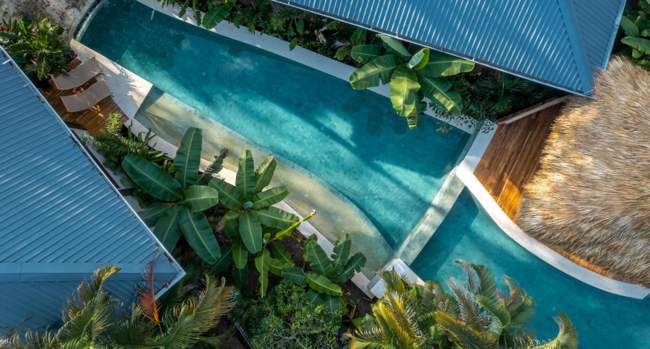Blue Mist Hotel- Adults Only Playa Santa Teresa  エクステリア 写真